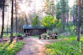 Пейзаж Карелии: фото дома в лесу в контровом солнечном свете