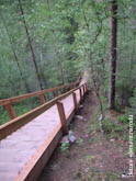 Фото деревянной лестницы в лесу