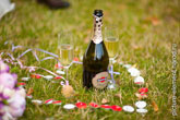 Бутылка Мартини с бокалами стоит на траве в окружении свечей в форме сердца