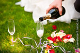 Свадебный фото натюрморт на зеленой лужайке: в бокалы наливается шампанское, рядом лежат лепестки роз