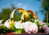 Фото 2-х золотых свадебных колец с колокольчиками на крыше свадебного автомобиля с розами